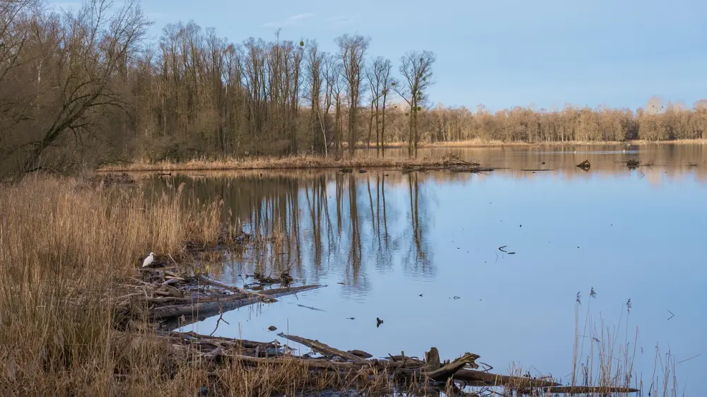 Lake, bay, nature, landscape, trees, reflection, nature reserve, protected landscape area, illustrating marine protected